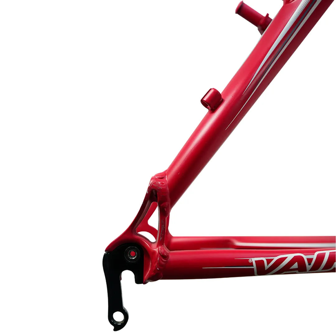 Cuadro Vairo XR 8.0 R26 Talle M